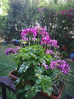 Il Giardino di Anna