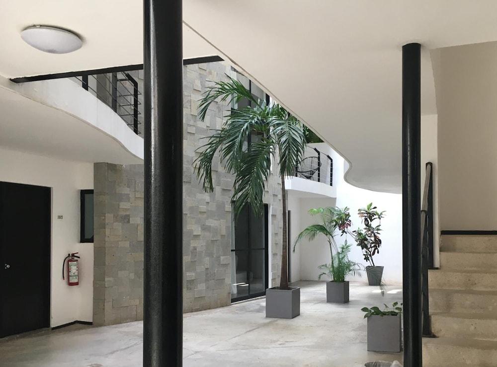 Sole Suites