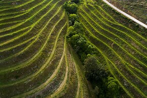 Vila Gale Douro Vineyards Hotel