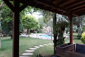 Alex Village Life