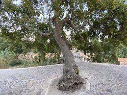 Archontiko Riziko