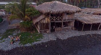 Pelicano Surf Camp