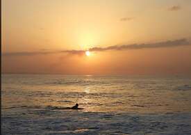 Pelicano Surf Camp