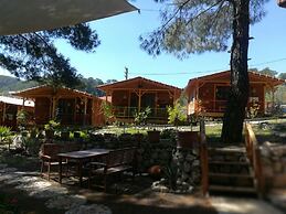 Olympos Tanrılar Kulübü