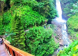 River Didi Hotel
