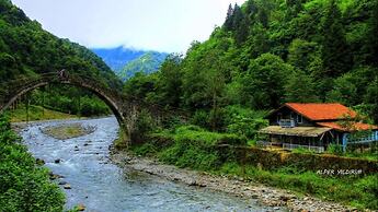 River Didi Hotel