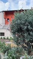 Borghetto Airport - Hospital