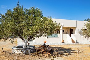 Olive Studios