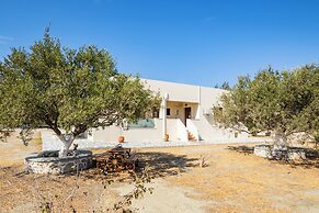 Olive Studios