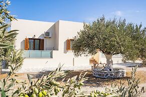 Olive Studios