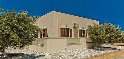 Olive Studios