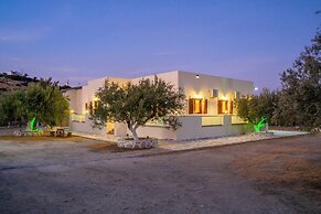 Olive Studios