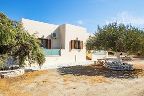 Olive Studios