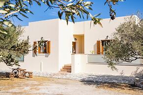 Olive Studios