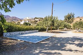 Olive Studios