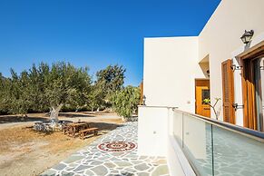 Olive Studios