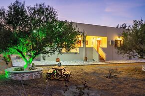 Olive Studios