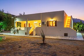 Olive Studios
