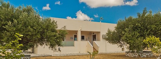 Olive Studios