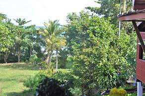 Piman Pu