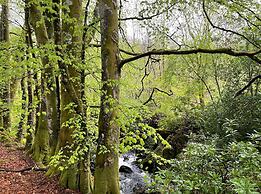 Cosy Woodland off Grid Shepherds Hut - Hazel