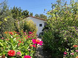 Pension Zoi