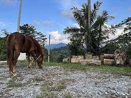 Nana's Homestay