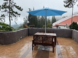 The Pines