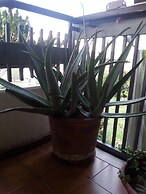 Double Room For Vacations In Roma