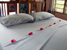 Salama Paradise Beautiful House