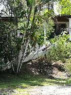 Manuel Antonio Comfort Casa Macaow