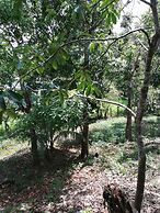 Manuel Antonio Comfort Casa Macaow