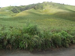 Fredelia Homestay