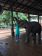 Explore Central Srilanka