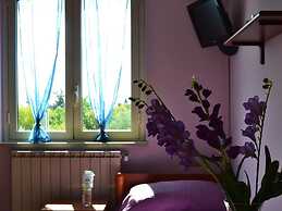 Yellow Room - B b S Elia