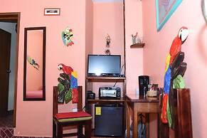 Room in B&B - Cancun Guest House 1