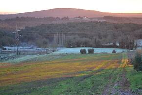Podere Ficareto Farm