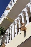 Room in B&B - Cancun Guest House 2