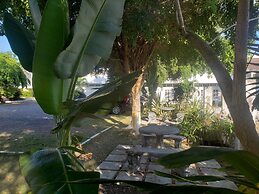 Sea Shell Palms