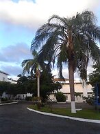 Sea Shell Palms