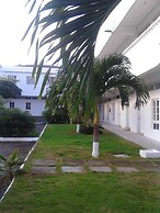 Sea Shell Palms