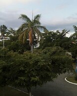 Sea Shell Palms
