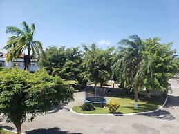 Sea Shell Palms