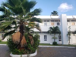 Sea Shell Palms