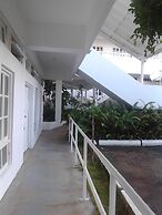 Sea Shell Palms