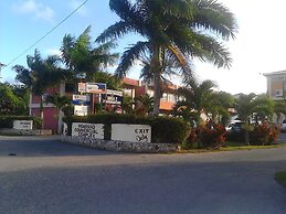 Sea Shell Palms