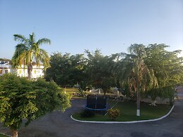 Sea Shell Palms