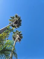 Sea Shell Palms