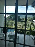 La Casa Del Volcan
