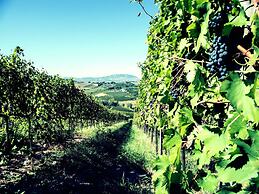 Apartment Amidst Vineyards & Blue Skies